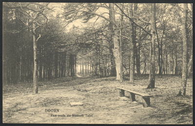 17834 Afbeelding van een bankje in het bos bij Doorn.